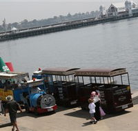 Waterfront Train Tours and Bungy Trampoline - Tweed Heads Accommodation