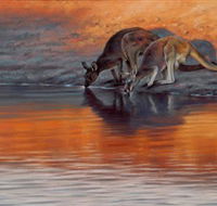 Steve Morvell Wildlife Art - Tweed Heads Accommodation