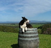 Windy Ridge Vineyard and Winery - Tweed Heads Accommodation
