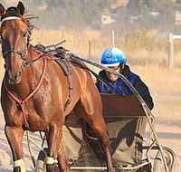 Ballarat  District Trotting Club - Tweed Heads Accommodation