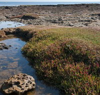 Ricketts Point Marine Sanctuary - Tweed Heads Accommodation
