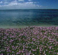 The Lakes National Park - Tweed Heads Accommodation