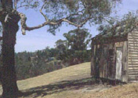 Hawkstowe Picnic Area - Tweed Heads Accommodation 0
