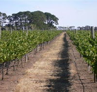 Mount Beckworth Wines - Tweed Heads Accommodation
