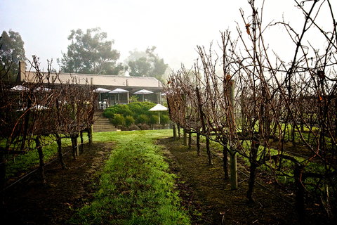 GREENSTONE VINEYARDS - Tweed Heads Accommodation 4