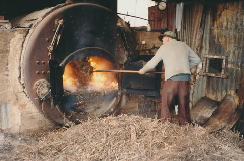 Eucalyptus Distillery Museum - Tweed Heads Accommodation 2