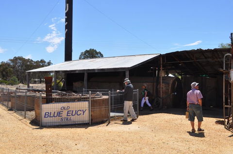 Eucalyptus Distillery Museum - Tweed Heads Accommodation 3