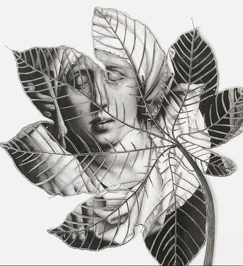 Wollongong Art Gallery - Tweed Heads Accommodation 2