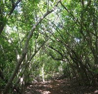 Eucalypt Trail - Tweed Heads Accommodation