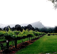 Cambewarra Estate Wines - Tweed Heads Accommodation