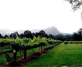 Cambewarra Estate Wines - Tweed Heads Accommodation 0