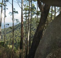 Gulaga National Park - Tweed Heads Accommodation