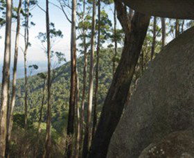 Gulaga National Park - Tweed Heads Accommodation 0