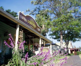 Passionfish Candles - Tweed Heads Accommodation 0