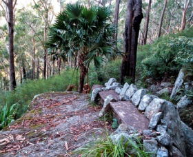 Wodi Wodi Walking Track - Tweed Heads Accommodation 0