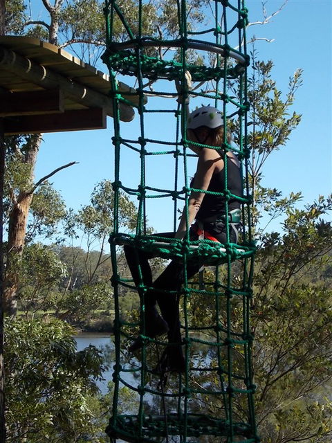 Trees Adventure Shoalhaven - Tweed Heads Accommodation 0