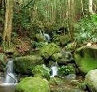 Budderoo National Park - Tweed Heads Accommodation