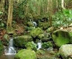 Budderoo National Park - Tweed Heads Accommodation 0