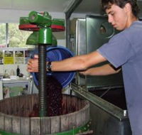 Fern Gully Winery - Tweed Heads Accommodation