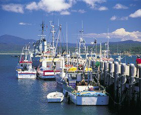 Eden NSW Tweed Heads Accommodation