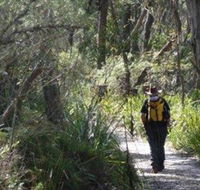 Barren Grounds Nature Reserve - Tweed Heads Accommodation