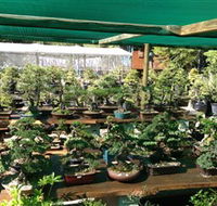 Bonsai at the Bay - Tweed Heads Accommodation