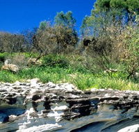 Abrahams Bosom Reserve - Tweed Heads Accommodation