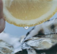 Pearly Oyster Bar and Farm - Tweed Heads Accommodation
