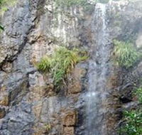 Wedding Bells Forest Drive - Tweed Heads Accommodation