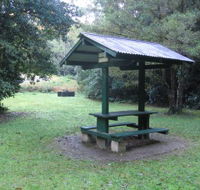 Pine Creek State Forest - Tweed Heads Accommodation