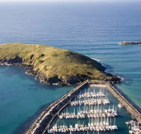 Muttonbird Island Nature Reserve - Tweed Heads Accommodation