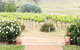 Brindabella Hills Winery - thumb 0