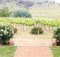 Brindabella Hills Winery - Tweed Heads Accommodation