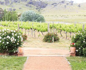 Brindabella Hills Winery - Tweed Heads Accommodation 0