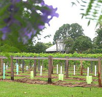 Douglas Vale Historic Homestead  Vineyard - Tweed Heads Accommodation