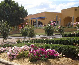 Shaw Vineyard Estate - Tweed Heads Accommodation 0