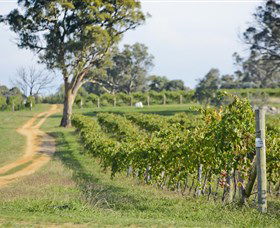 Shaw Vineyard Estate - Tweed Heads Accommodation 1
