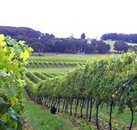 Banjo's Run Winery and Vineyard - Tweed Heads Accommodation