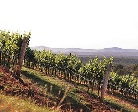 Briar Ridge Vineyard - Tweed Heads Accommodation 1