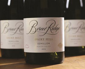 Briar Ridge Vineyard - Tweed Heads Accommodation 0