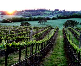 Philip Shaw Wines - Tweed Heads Accommodation 1