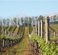 Philip Shaw Wines - Tweed Heads Accommodation