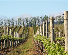 Philip Shaw Wines - Tweed Heads Accommodation 0