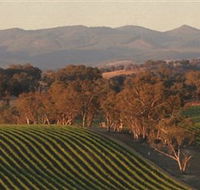 Angullong Wines - Tweed Heads Accommodation
