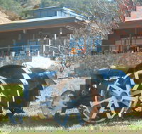 Lake George Winery - Tweed Heads Accommodation