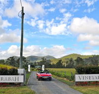 Sarabah Estate Vineyard - Tweed Heads Accommodation