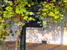 Wolseley SA Tweed Heads Accommodation