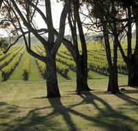 Henry's Drive Vignerons - Tweed Heads Accommodation