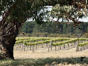 Wangolina Station - Tweed Heads Accommodation 3