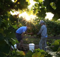Oakdene Vineyards Restaurant and Cellar Door